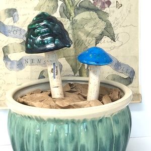 Artist Handmade Ceramic Mushrooms Studio Pottery